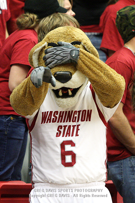 Butch T. Cougar - Washington State Athletics